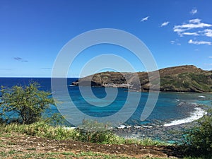 Hawaii Hanauma Bay Landscape View of Grass and Ocean