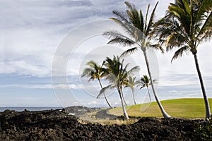 Hawaii Kona Pacific Coast