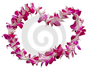 Hawaii Lei On A White Background