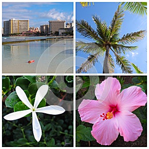 Hawaii Montage