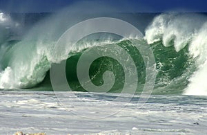 Hawaii North Shore Wave