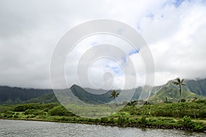 Hawaii Oahu island Waiahole forest reserve view over the Ahuiman