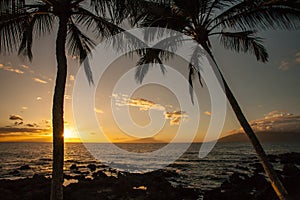 Hawaii Palm Tree Sunset Sunstar