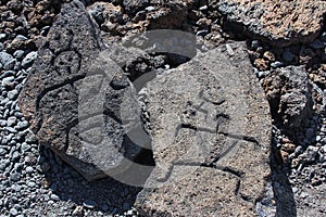 Hawaii Petroglyphs