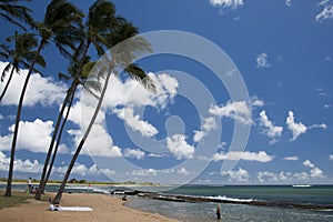 Hawaii Poipu beach landscape