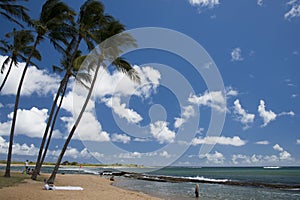 Hawaii Poipu beach landscape photo