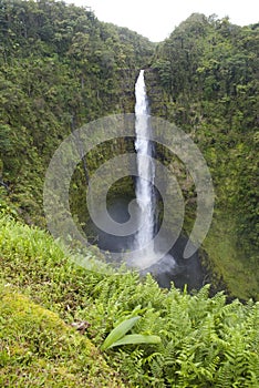 Hawaii Scenery: Akaka Falls Waterfall