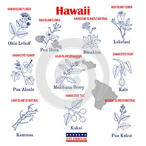 Hawaii. Set of USA official state symbols