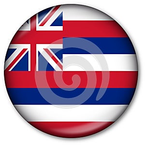 Hawaii State Flag Button