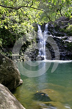 Hawaii Waterfall #1