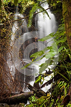 Hawaii waterfall