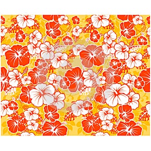 Hawaiian background with hibiscus flowers photo