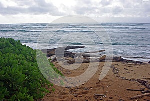 A Hawaiian Beach on Maui