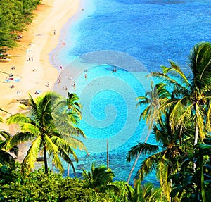 Hawaiian beach scene