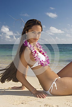 Hawaiian beauty on the beach