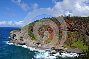 Hawaiian coastline