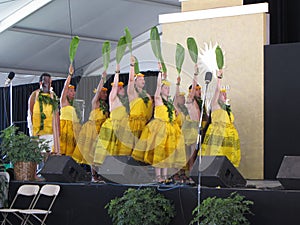 Hawaiian Dance Troupe