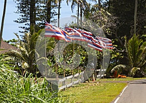 Hawaiian flags in front of a small restaurant on Hana Road on the Island of Maui in the State of Hawaii.