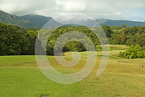 Hawaiian golf course