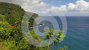 Hawaiian Green Cliffs