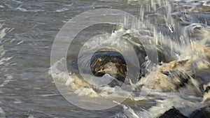 Hawaiian green sea turtle resting on the beach hit by a wave