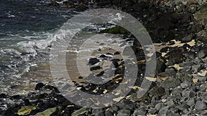 Hawaiian green sea turtles resting on Ho\'okipa Beach in Hawaii