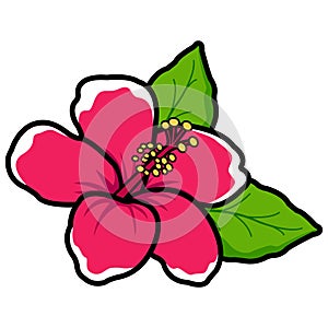 Hawaiian hibiscus flower. Vector illustration