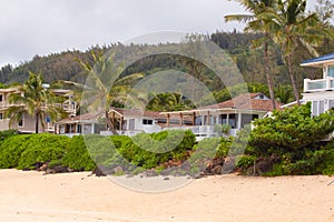 Hawaiian House Rentals