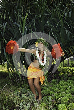 Hawaiian hula