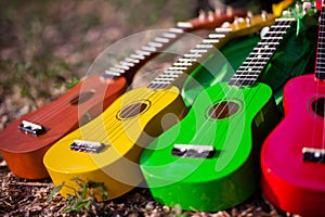 Hawaiian instrument ukulele photo