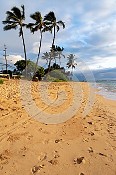 Hawaiian Landscape - Kaaawa, Oahu, Hawaii