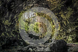 Hawaiian Lava Tube photo