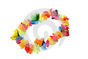 Hawaiian Lei photo