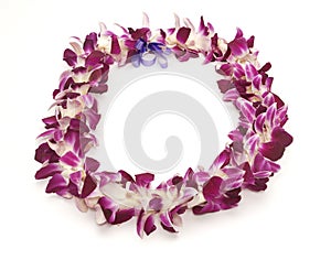 Hawaiian Lei photo