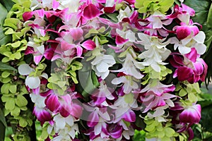 Hawaiian Orchid lei photo
