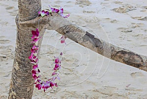 Hawaiian orchid lei on driftwood Lanikai Beach Oahu, Hawaii