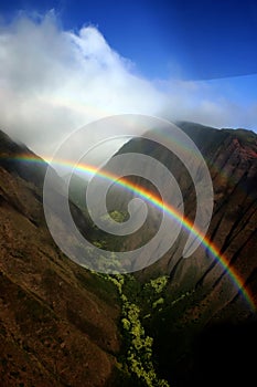 Hawaiian Rainbow