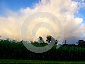 Hawaiian Rainbow Breeze