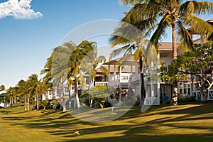 Hawaiian real estate