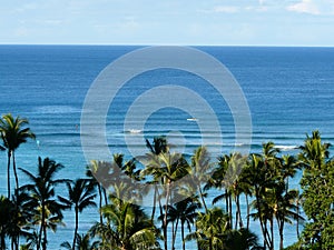Hawaiian scene trees and ocean