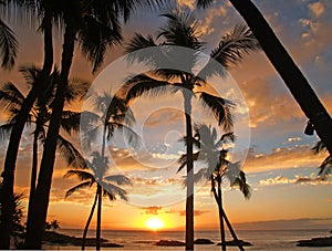 Hawaiian Sunset )ct 2010