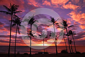 Hawaiian Sunset On Molokai