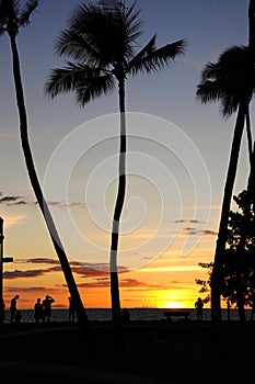 Hawaiian Sunset with palm trees silhouetted.