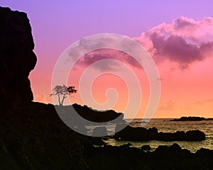 Hawaiian Sunset Silhouette