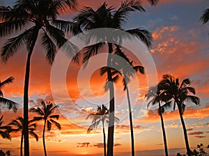 Hawaiian Sunset On Vacation