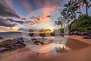 Hawaiian Sunset Wonder photo