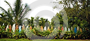 Hawaiian surfboard fence surrounding a yard