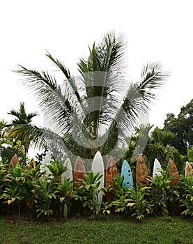 Hawaiian surfboard fence surrounding a yard