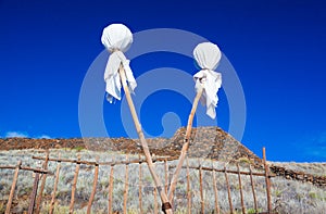 Hawaiian temple ruins