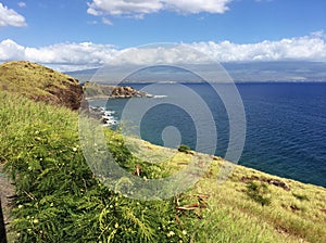 Hawaiian tropical coastline - the Road to Hana